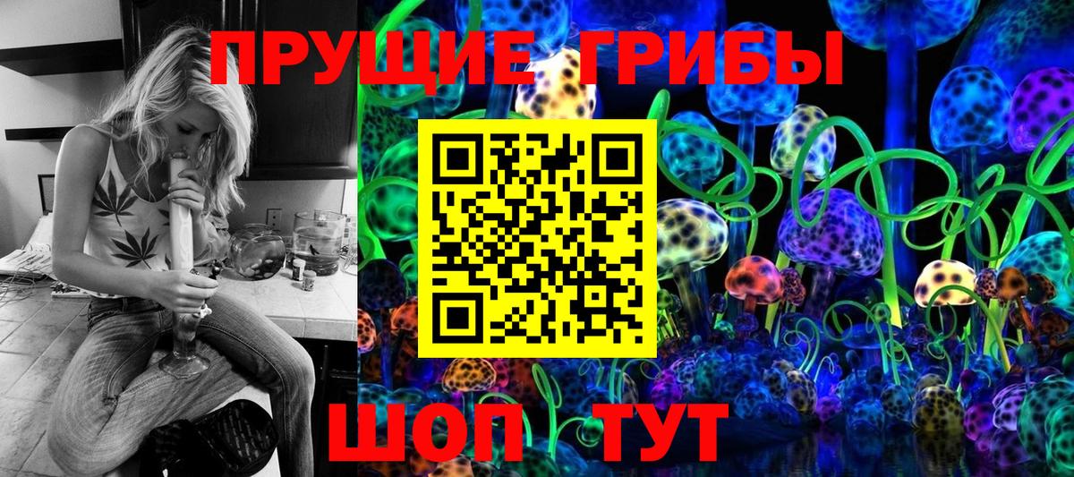Галлюциногенные грибы Psilocybe Зеленодольск