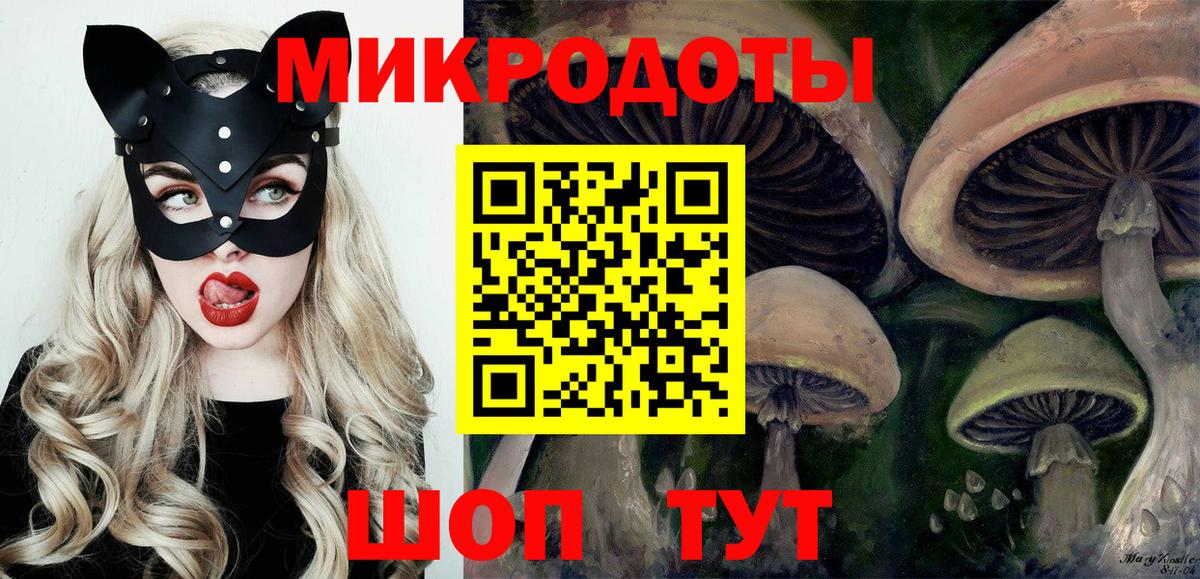 Зеленодольск  Галлюциногенные грибы Psilocybe  Вход с VPN  Галлюциногенные грибы Psilocybe 